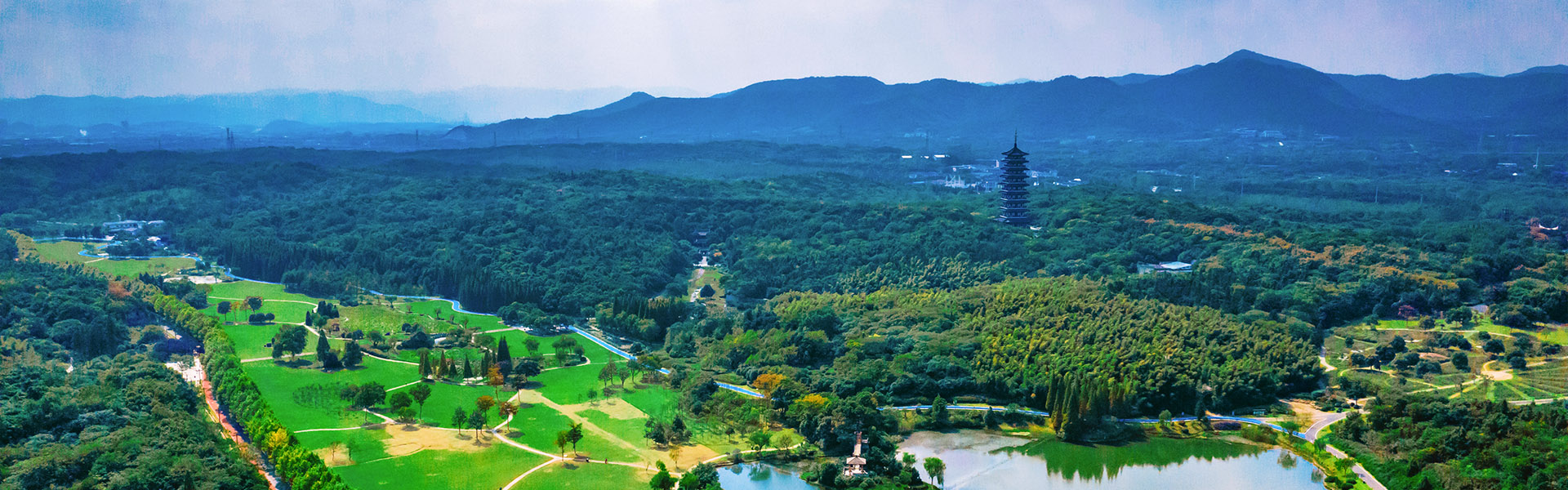 hth华体官方下载app